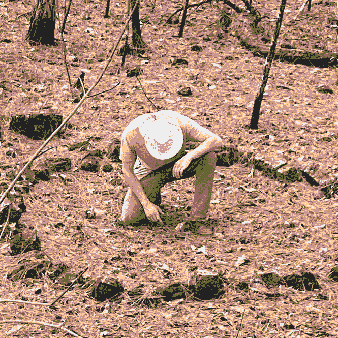 Spawning in the woods, c. MMXXII